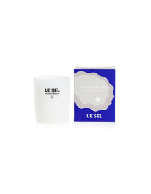 Le Sel 300g Soy Coconut Scented Candle