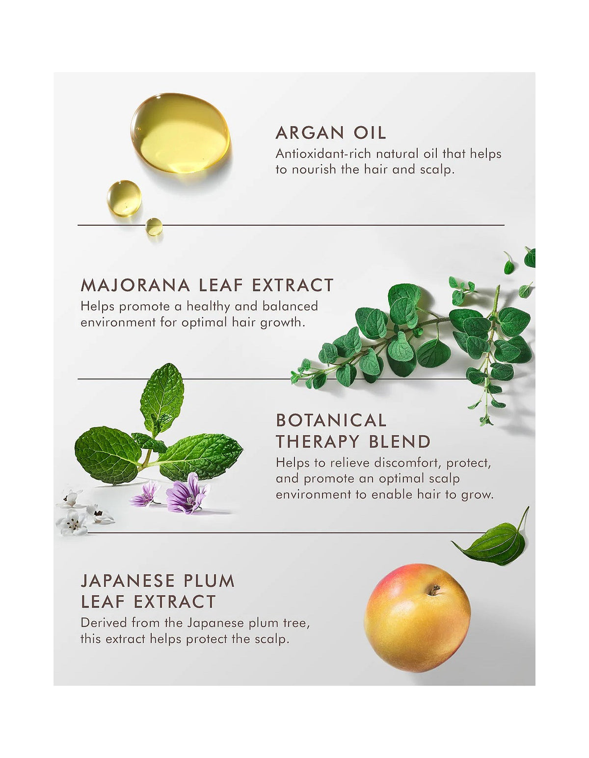 Scalp Revitalizing Tonic 100ml
