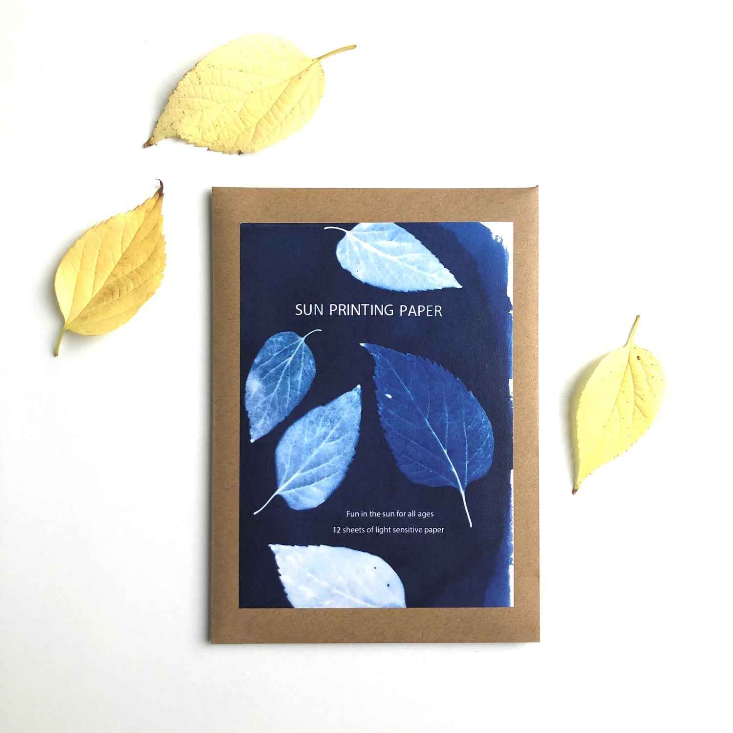 Sun Printing Paper Art and craft for kids Best Seller 4yrs+