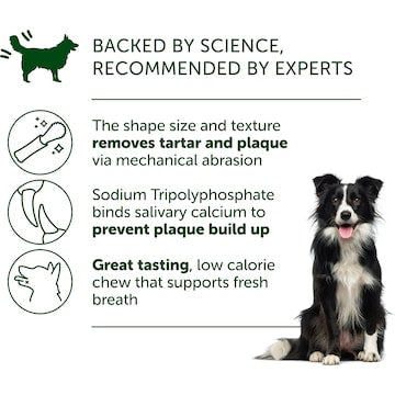 Super Natural Dental Care Daily Dental Chews Dog Treats 510g