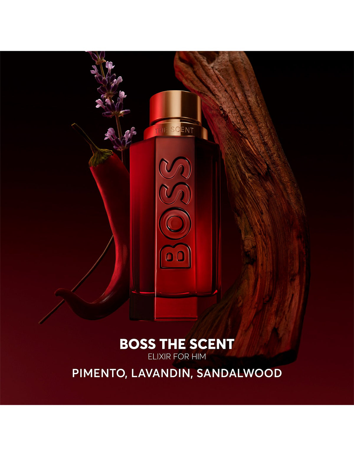 The Scent Elixir Parfum Intense for Him 100ml