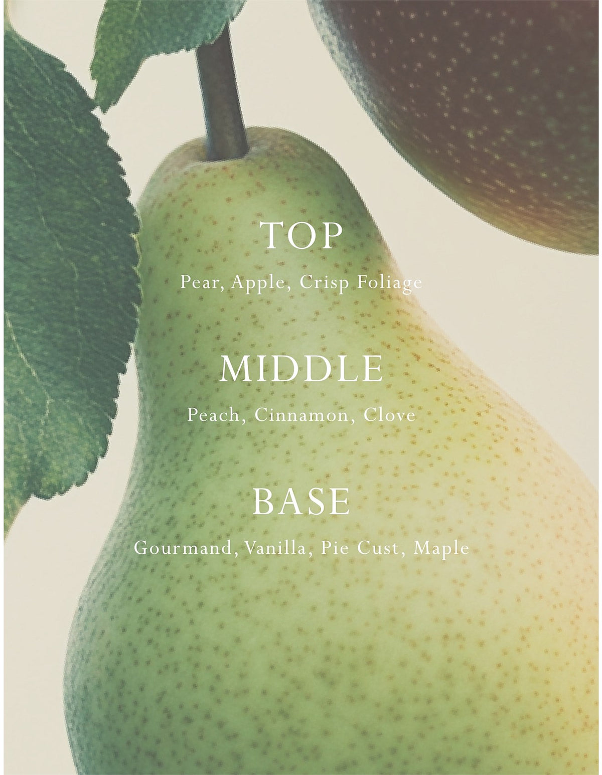 Emporium Classics Blanc Italian Pear Candle 380g