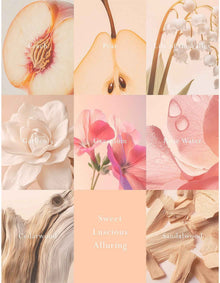 Emporium Classics Blanc Peach Delight Reed Diffuser 200ml