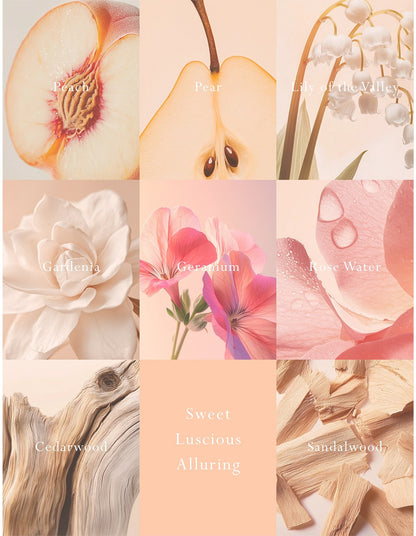 Emporium Classics Blanc Peach Delight Reed Diffuser 200ml