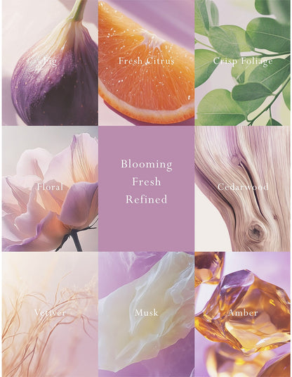 Emporium Classics Blanc Primavera Fig Reed Diffuser 200ml
