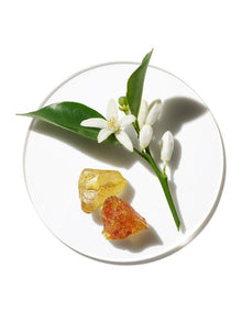 Aromatics In White EDP