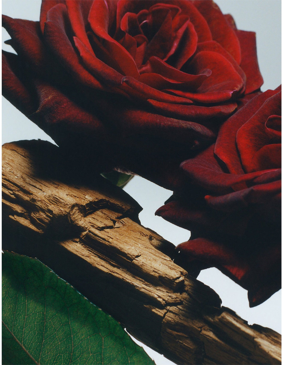 Velvet Rose & Oud Body Spray 150ml