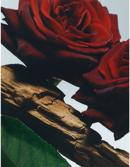 Velvet Rose & Oud Body Spray 150ml