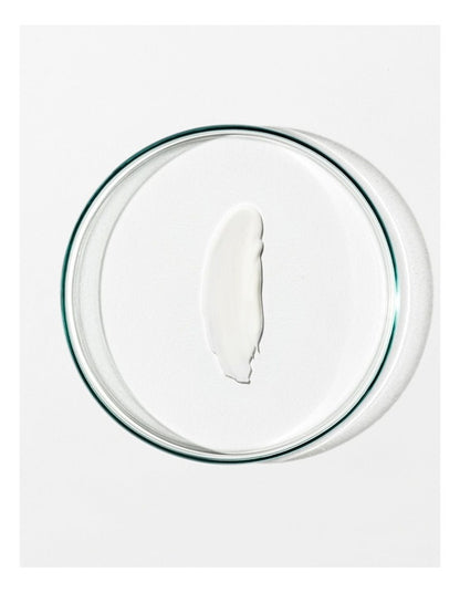 Skin Renewal Day Cream 65ml