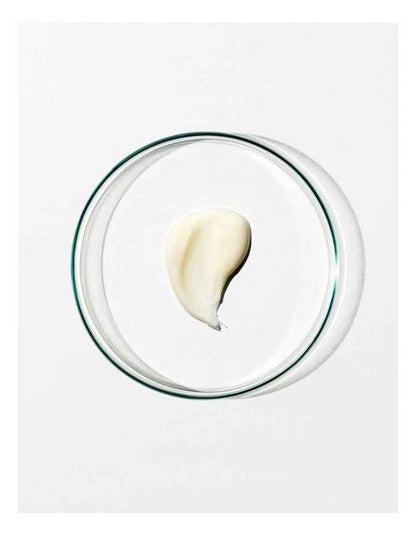 Regenerating Night Cream 40ml