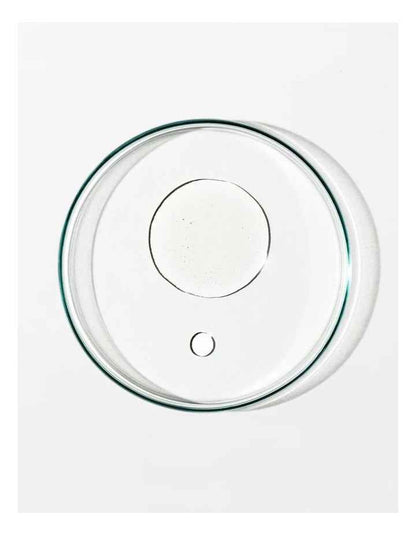 Restorative Body Oil 100ml