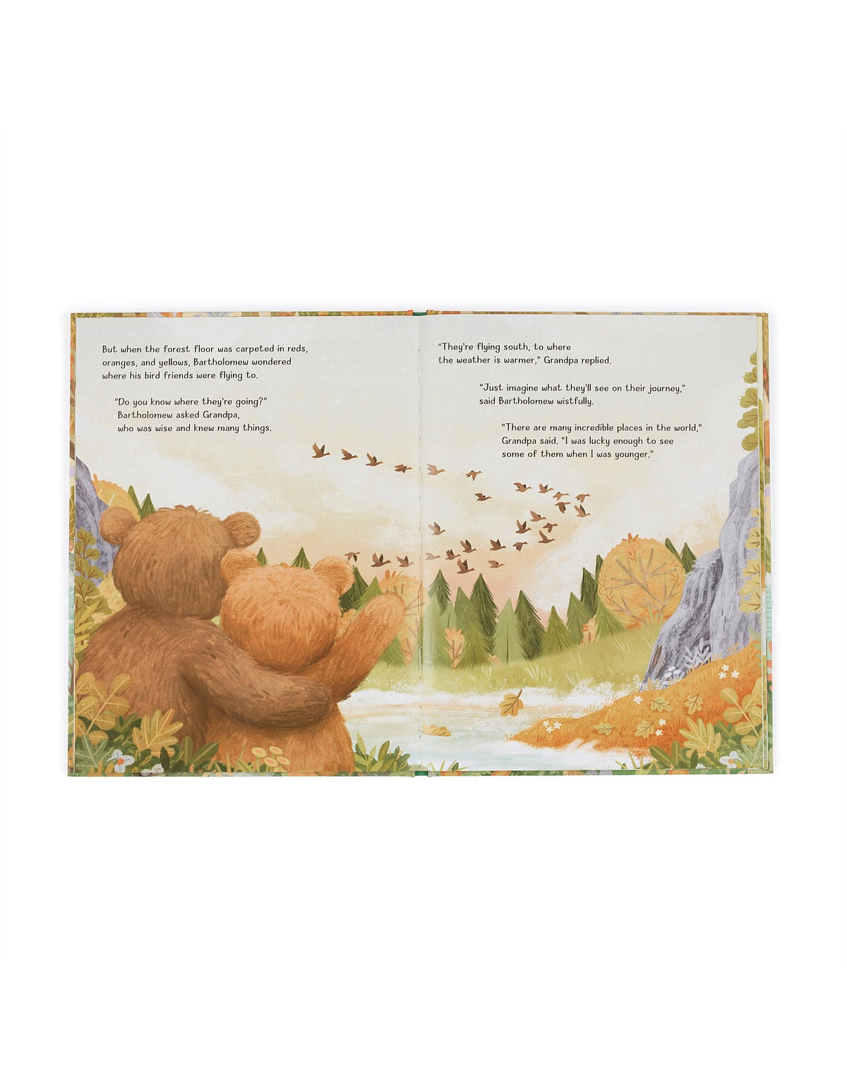 It's A Big World Bartholomew Book By Meredith Vigh