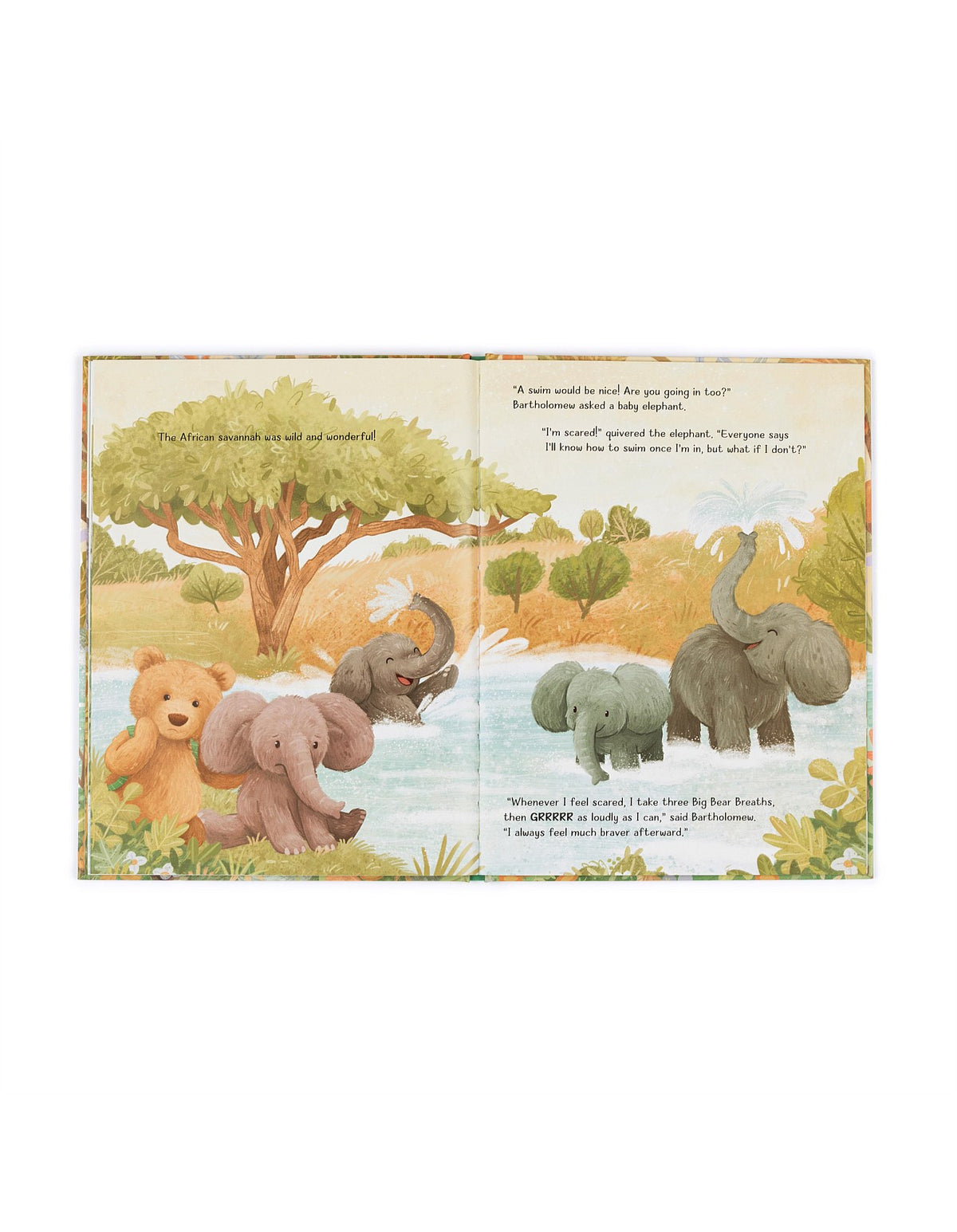 It's A Big World Bartholomew Book By Meredith Vigh