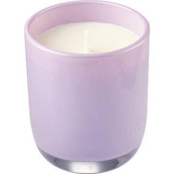 Haven Spring Fling Lychee & Amber Soy Blend Candle each