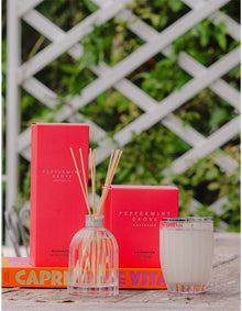 Watermelon Large Fragrance Diffuser 350ml
