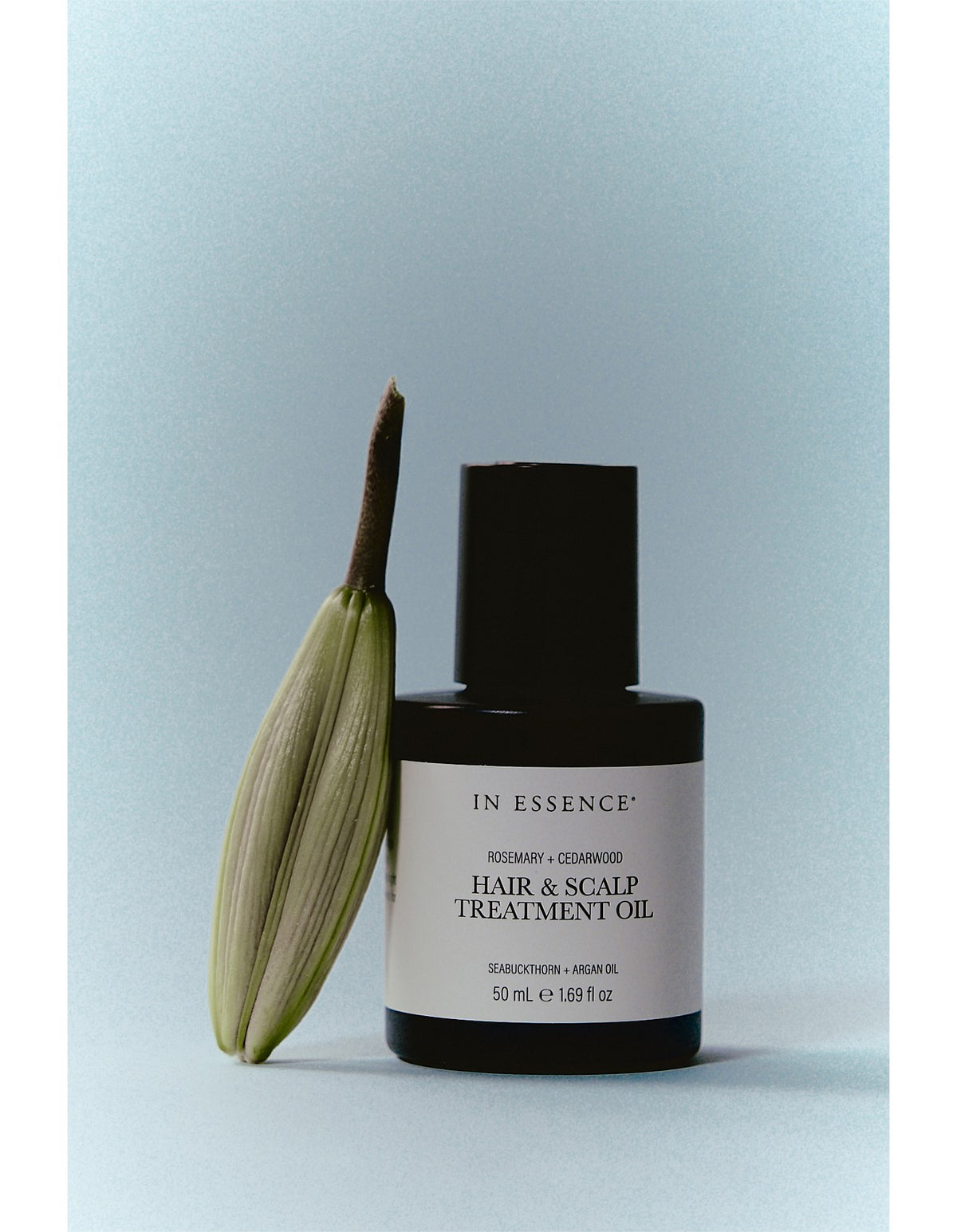 Hair &amp; Scalp Treatment Oil 50ml