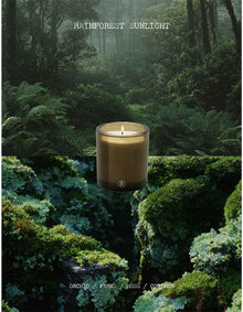Rainforest Sunlight 200g Soy Wax Scented Candle Green