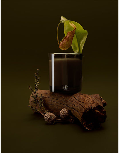 Rainforest Sunlight 200g Soy Wax Scented Candle Green