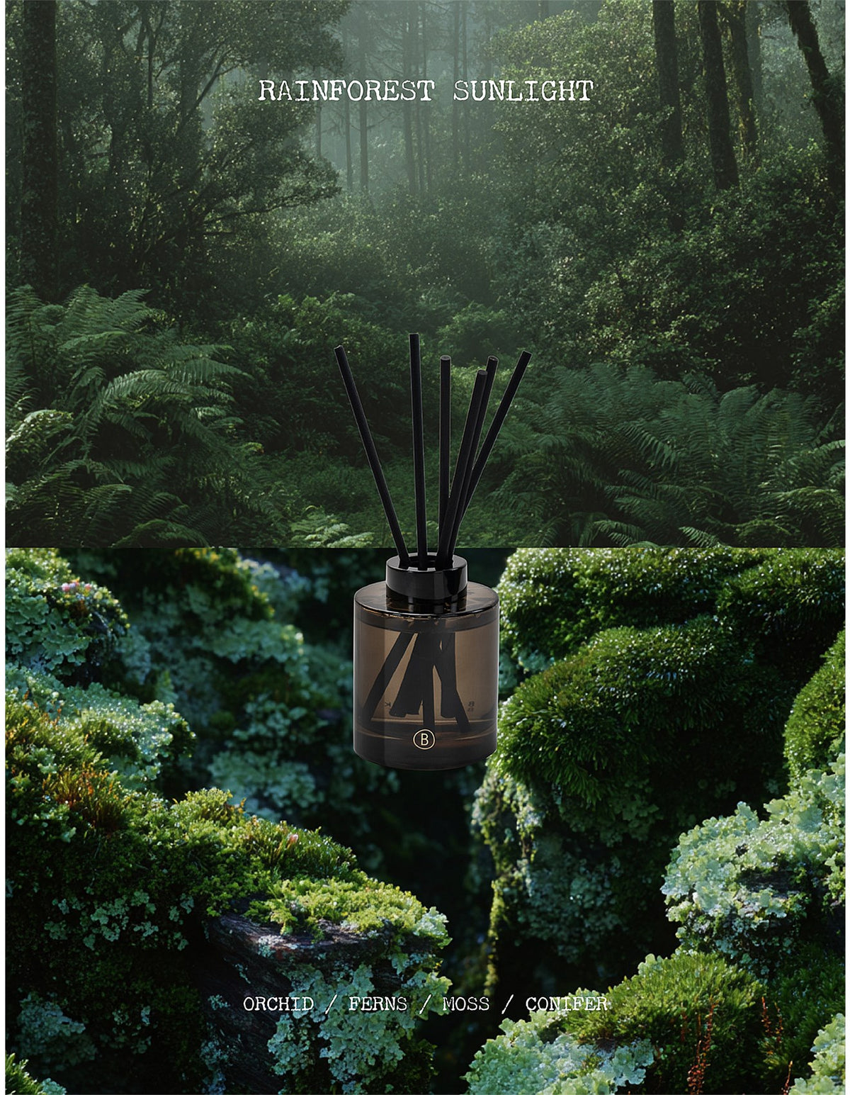 Rainforest Sunlight Reed Diffuser 200ml