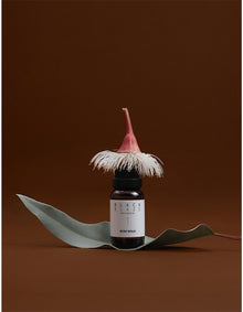 Bush Walk Diffuser Oil 15ml