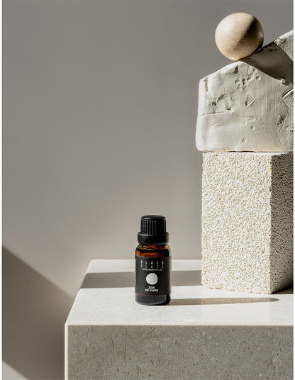 Joie De Vivre Diffuser Oil 17ml