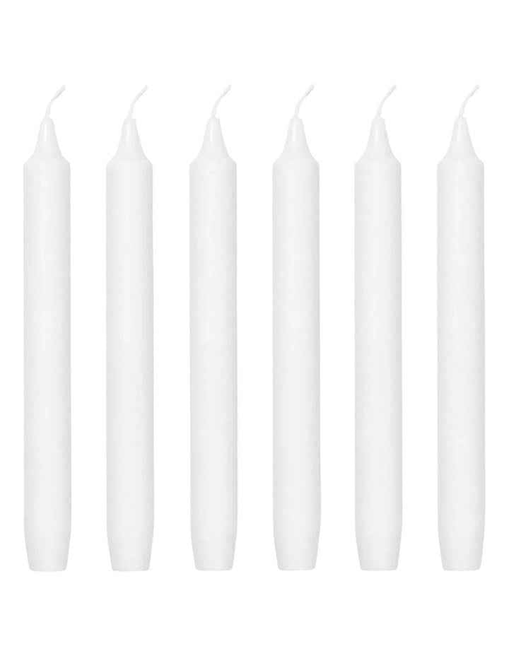 Fir Scented Madeleine Candles