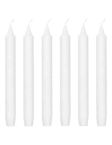 Fir Scented Madeleine Candles