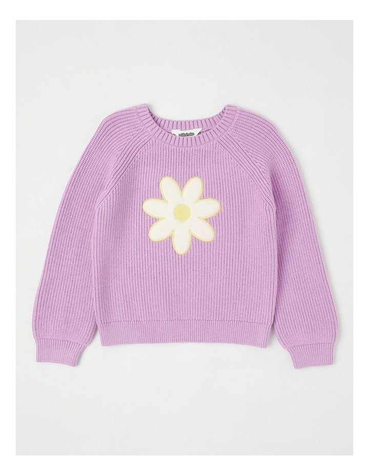 Long Sleeve Raglan Knit Jumper in Daisy Purple