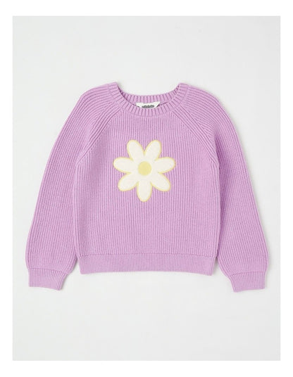 Long Sleeve Raglan Knit Jumper in Daisy Purple