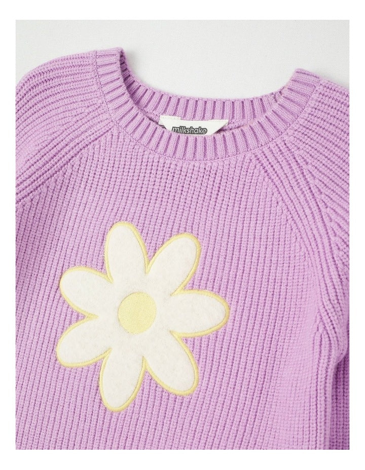 Long Sleeve Raglan Knit Jumper in Daisy Purple