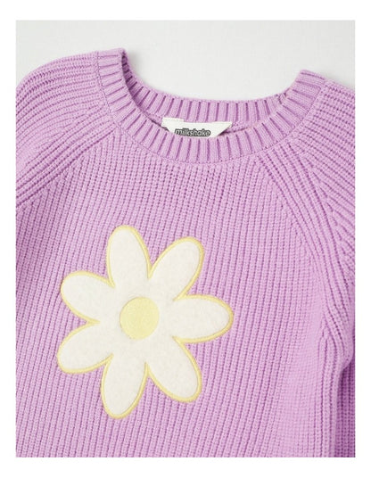 Long Sleeve Raglan Knit Jumper in Daisy Purple