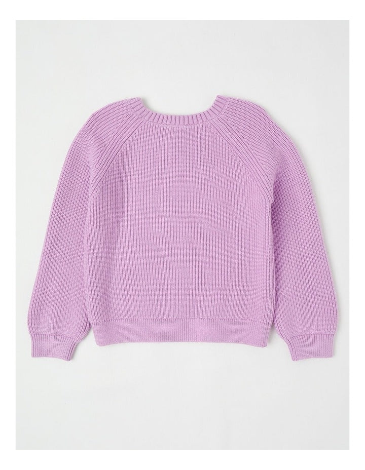 Long Sleeve Raglan Knit Jumper in Daisy Purple