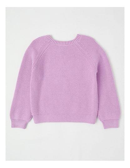 Long Sleeve Raglan Knit Jumper in Daisy Purple