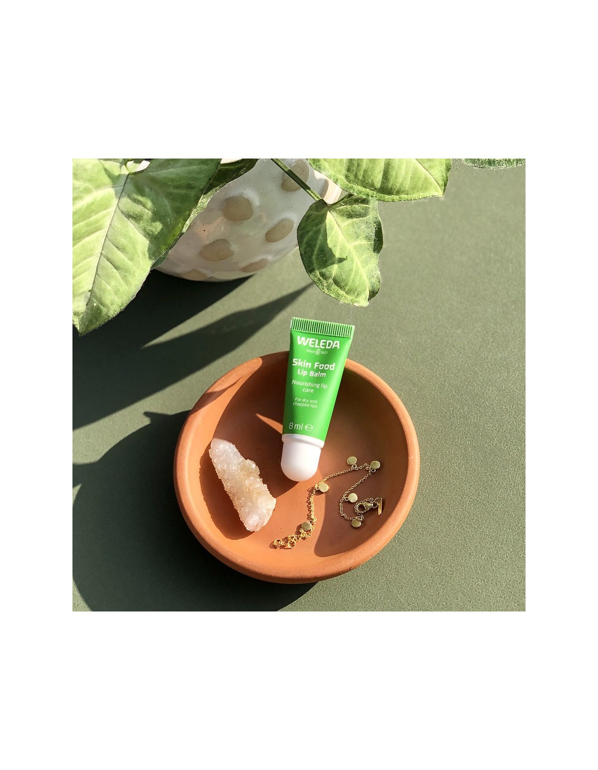 Skin Food Lip Stick, 4.8g