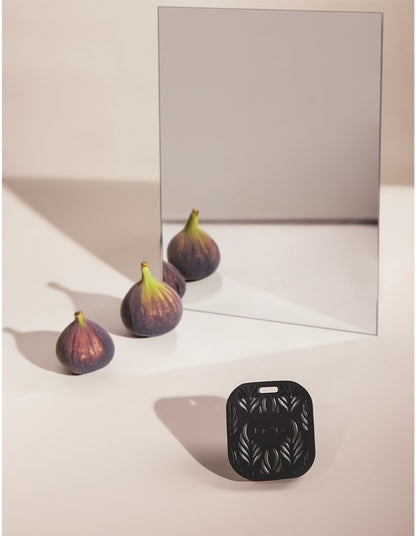 Primavera Fig Car Diffuser