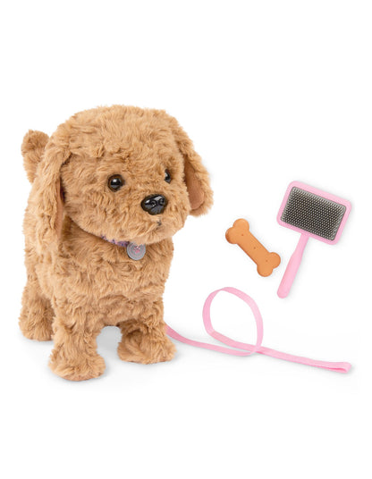 PLAYFUL PAWS GOLDENDOODLE PUP