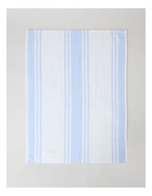 Terry Back Tea Towel Set of 4 in Blue