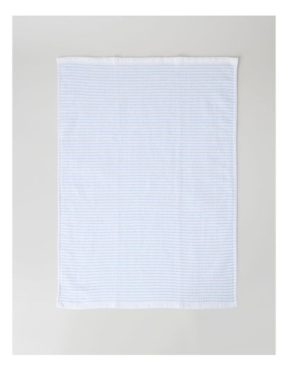 Terry Back Tea Towel Set of 4 in Blue