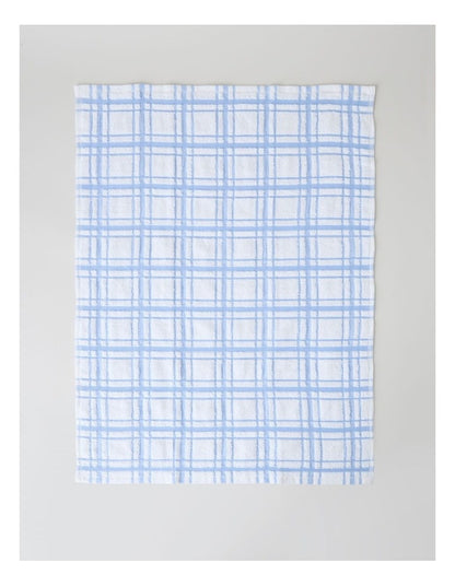 Terry Back Tea Towel Set of 4 in Blue