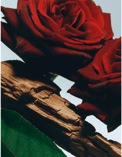 Velvet Rose & Oud Body Crème
