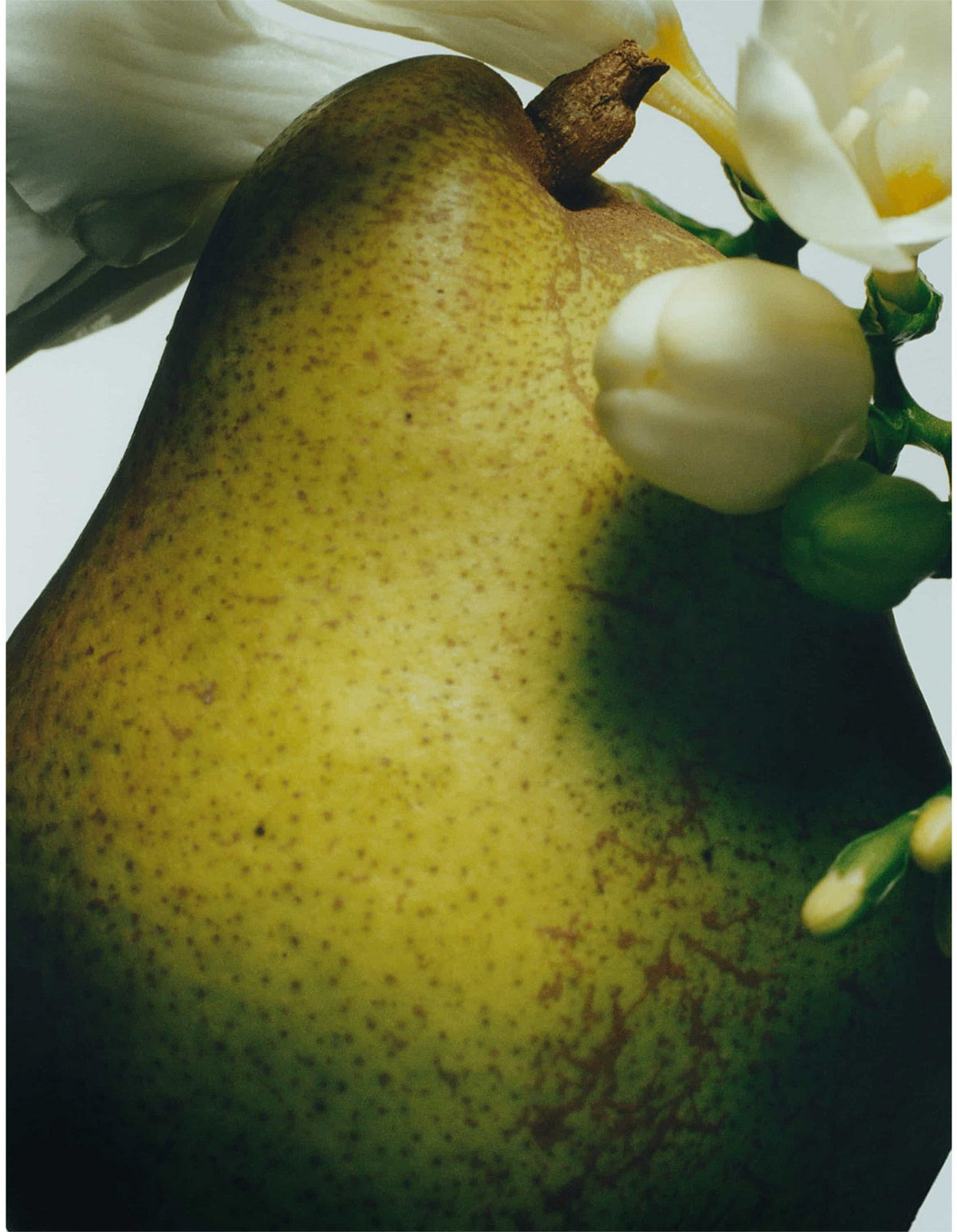 English Pear & Freesia Body Crème