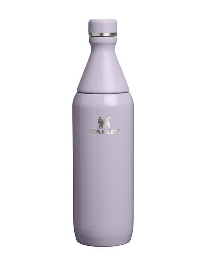 ALL DAY SLIM BOTTLE 20OZ PURPLE DUST GLOSS