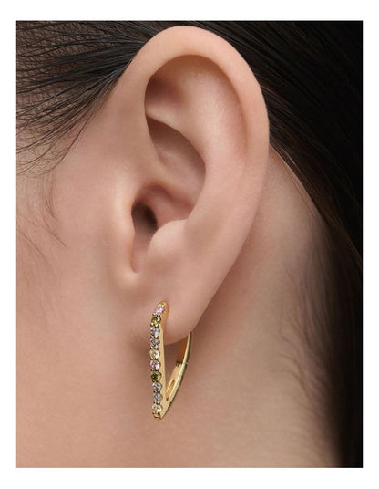 Gloss Hoop Earrings in Multicolour