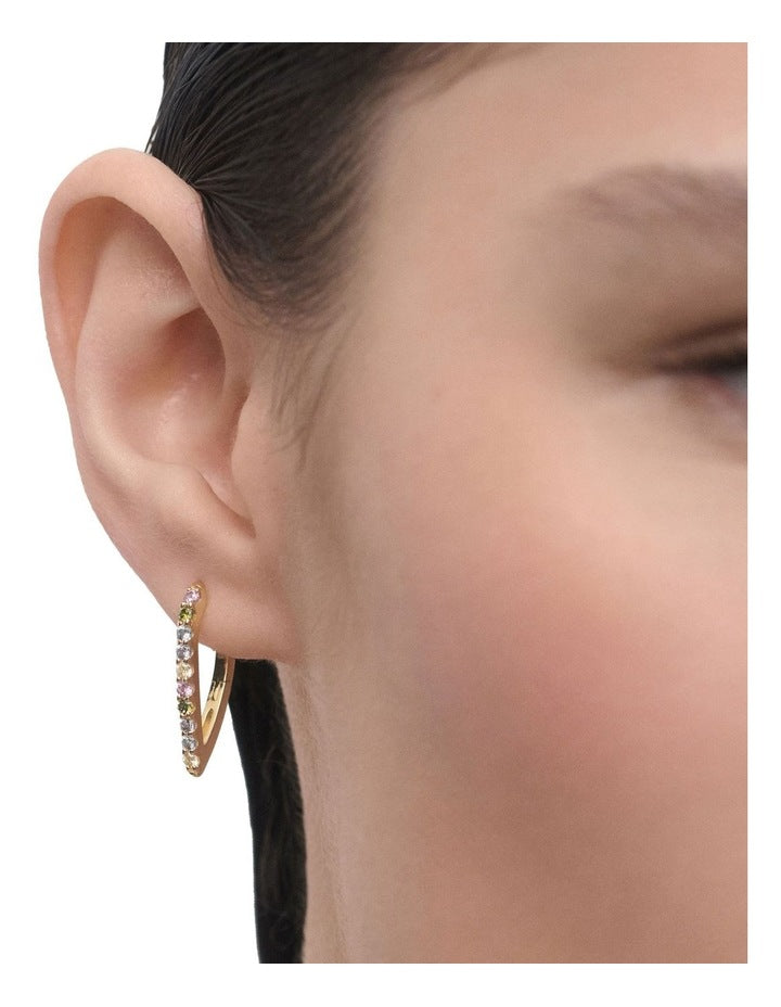 Gloss Hoop Earrings in Multicolour