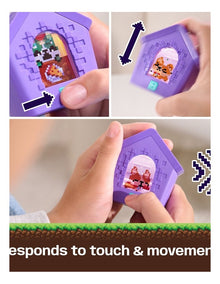 Doghouse Toy