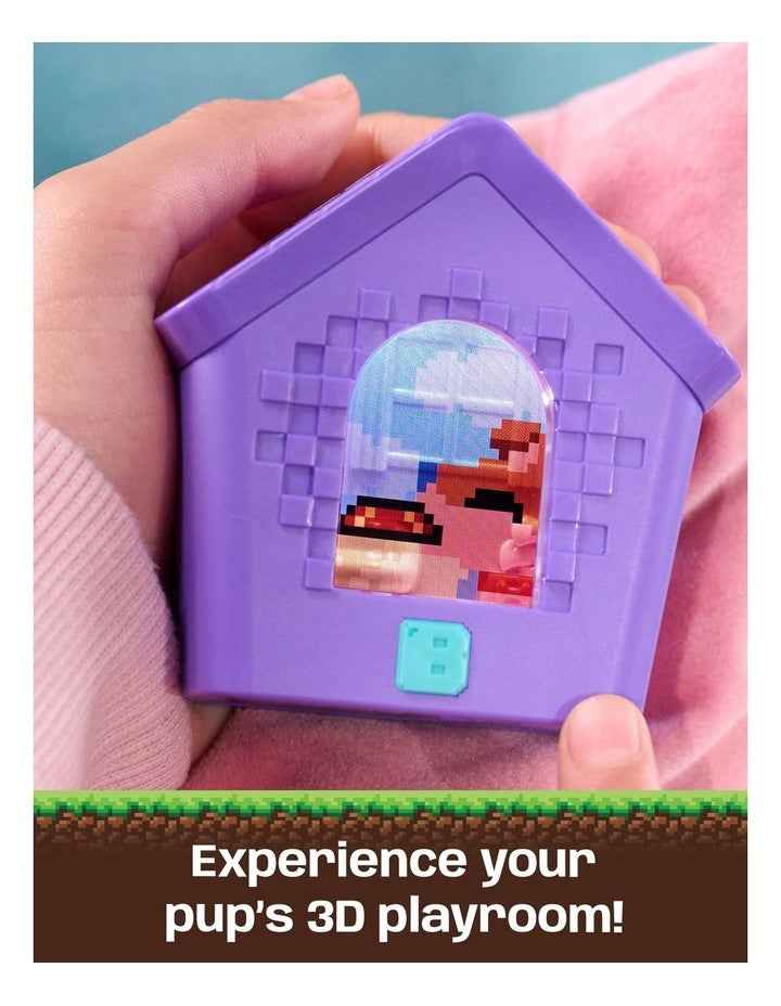 Doghouse Toy