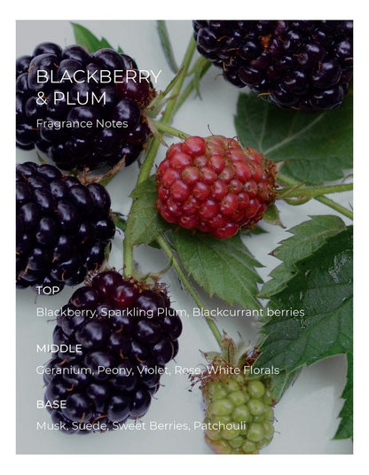 Blackberry & Plum Fragrance Diffuser 250ml