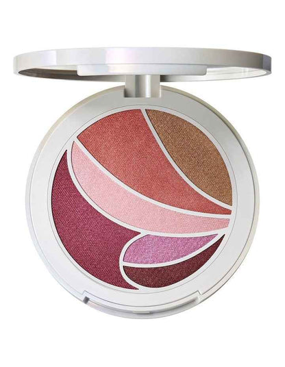 Metamorphosis Face & Eye Palette / Metamorphosis Collection