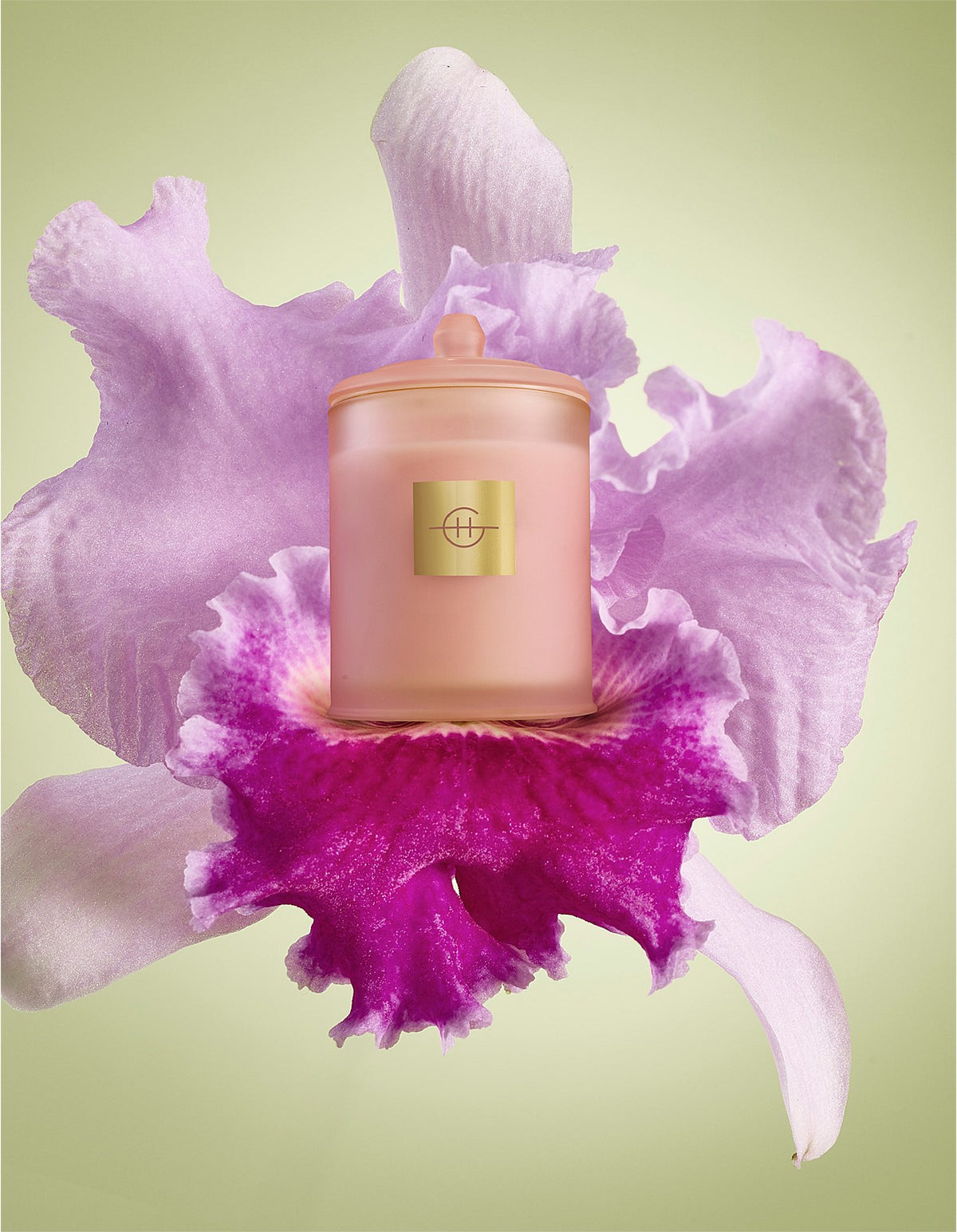 Radiance in Bloom Candle 380g