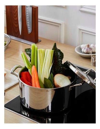Eternita Stainless Steel Induction Covered Stockpot 24cm/5.6L in Silver
